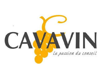 Cavavin