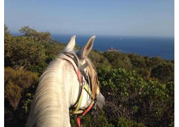 Centre Equestre Les 3 Fers 